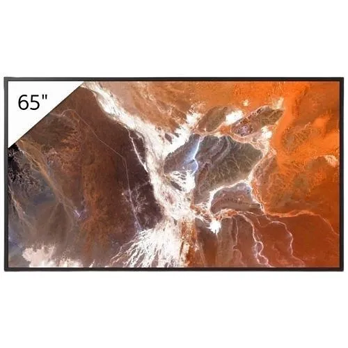 Sony Pro FW-65BZ30P 65" 4K HDR Professional Display with Deep Black Non-Glare Standard, 400 nit