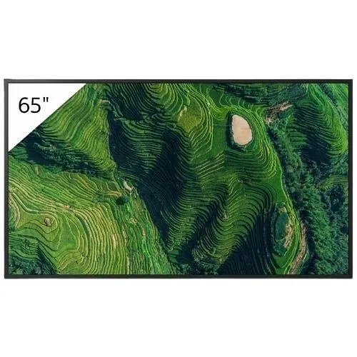 Sony Pro FW-65BZ35P 65" High Brightness 4K HDR Professional Display with Deep Black Non-Glare Standard and IP5X Dust Resistance, 500 nit