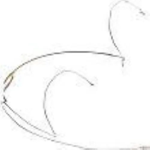 Countryman H6DW5LSR Audio Mixer for Sennheiser, Professional