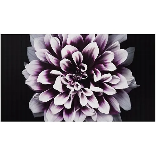 Samsung IW008J The Wall Indoor Direct-View LED Cabinet, 0.84 mm Pixel Pitch, 31.75" x 17.86", Front Service