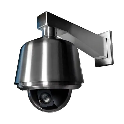 Pelco LD53PSB-1 LWR DM Fixture for Pendant,  Stainless Steel, Clear Bubble Lower Dome,  Clear