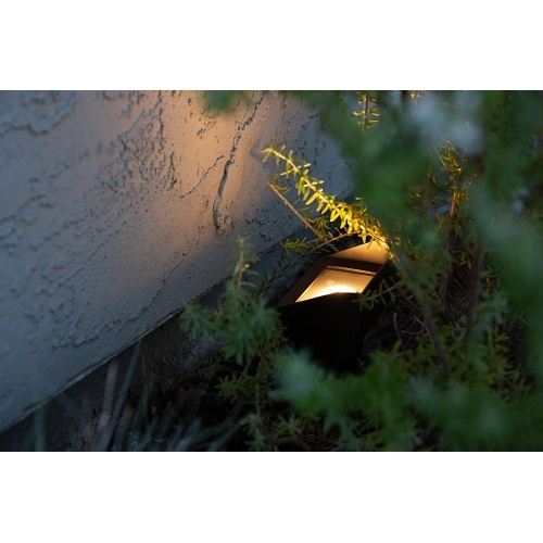 Image of PX-CW20WFLAB