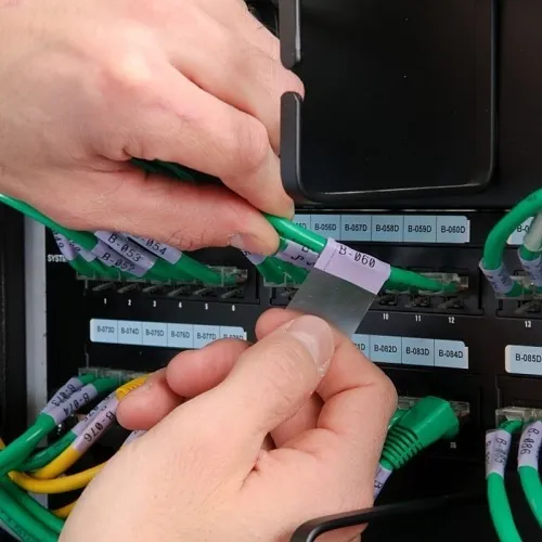 Image of WB-M4136427