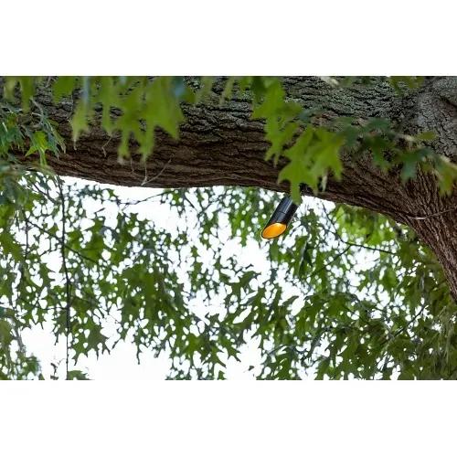 Image of PX-MDLED2LBZ