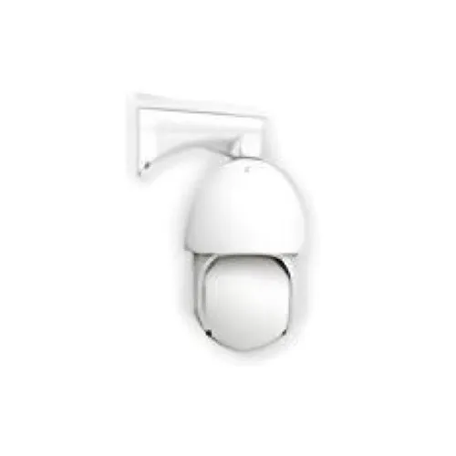 Image of 31-MSC8241X