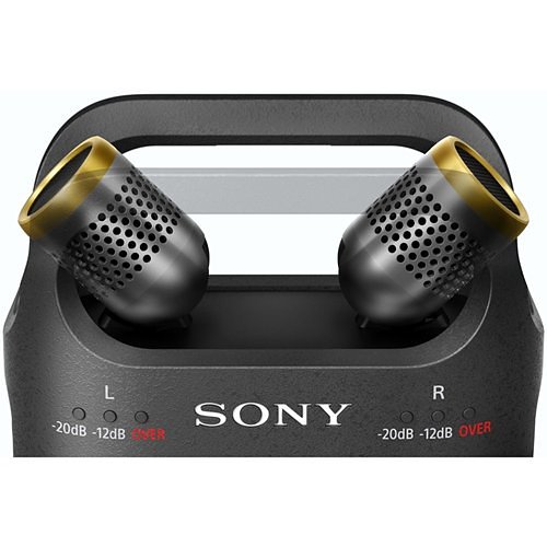 Sony Pro PCM-D10 High-Resolution Audio Digital Recorder with 3-Way Adjustable Microphone