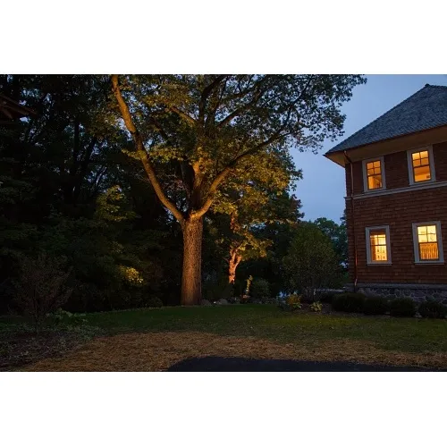 Image of PX-NPZDCLSFB