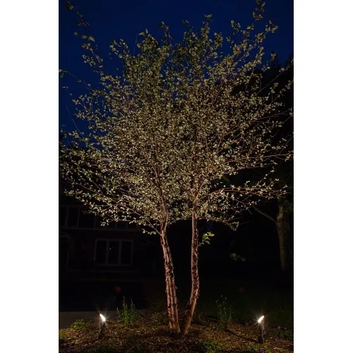 Image of PX-NPZDCLSFB