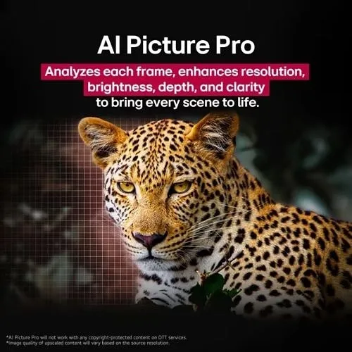 Image of YW-OLED42C5P