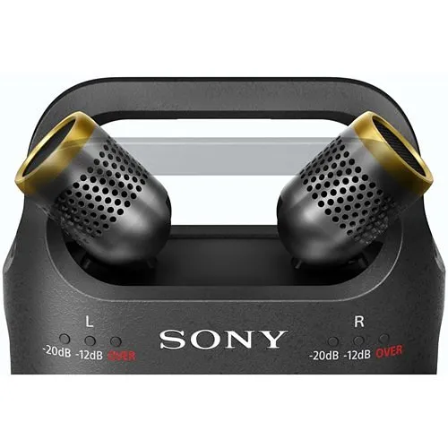 Sony Pro PCM-D10 High-Resolution Audio Digital Recorder with 3-Way Adjustable Microphone