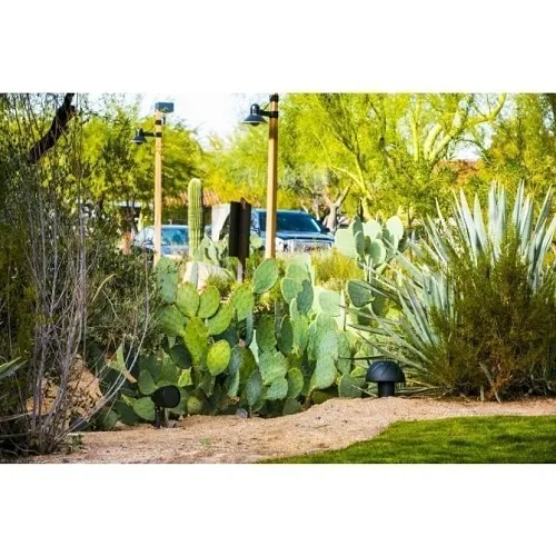 Image of 9W-PERISCAP4