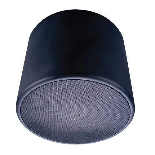 Beale Street PESV-8B Pendant Speaker Enclosure, 8", Black