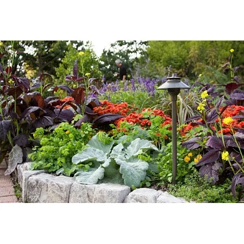 Image of PX-LED202RBZ