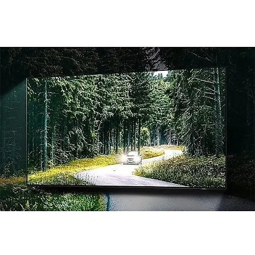 Image of GC-65QN95BA