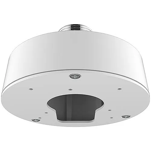 Capture Advance R2-PNDCP201A Pendant Caps,Surveillance Camera,White