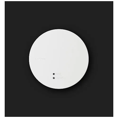 Lutron RR-PROC3-KIT RadioRA All-in-One Processor, Includes PoE Injector, Shelf Mount, 6' (1.8m) Ethernet Cable