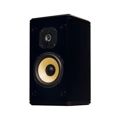 Induction Dynamics S2-BG 2-Way Single Loudspeaker, Black Gloss