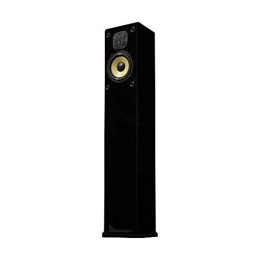 Induction Dynamics S2.T-CUSTOM 2-Way Single Freestanding Loudspeaker, Custom Finish