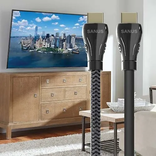 Image of NS-SAC21HDM4