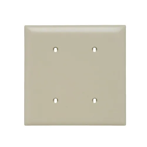 Pass & Seymour SP24-I Wall Plate, Smooth Wall Plate, 2Gang Blank, Strap Mount, Ivory