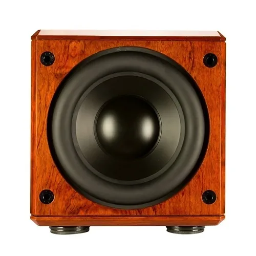 Induction Dynamics SW3-CUSTOM 12" Subwoofer, Custom