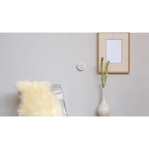 Google Nest Thermostat E Pro, White (T4001ES)