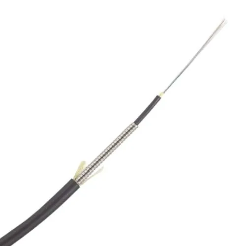 TiniFiber TF12-OM4-PLO Multimode 12 Fiber 250mm OM4 Armored Indoor/Outdoor Plenum Fiber Optic Cable