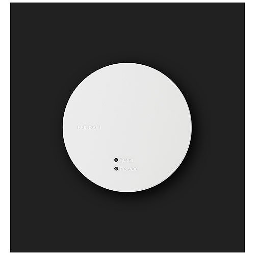 Lutron RR-PROC3-KIT RadioRA All-in-One Processor, Includes PoE Injector, Shelf Mount, 6' (1.8m) Ethernet Cable