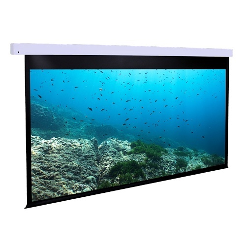 Dragonfly DFM-NTT-110-MW  110" Motorized Matte White Projection Screen (16:9)