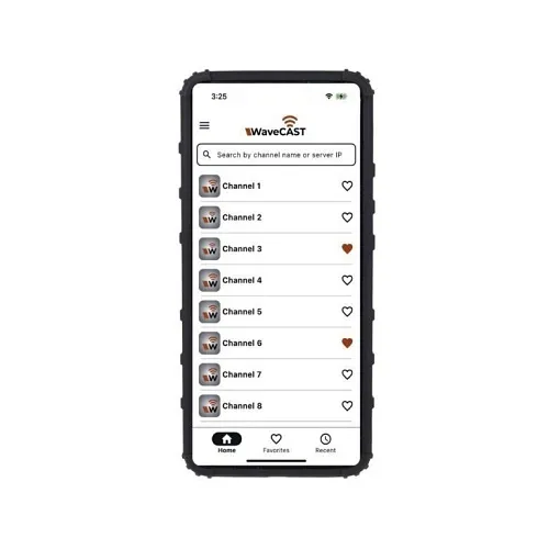 Williams AV WF R2-N WAV Pro Wi-Fi Receiver Without Power Supply