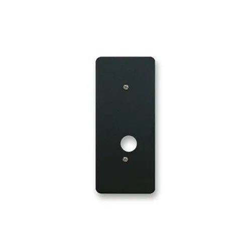 Mercury WP-10 Single-Gang Wall Plate, Black
