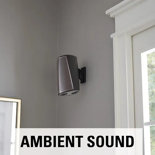 Image of NS-WSWMU1B2