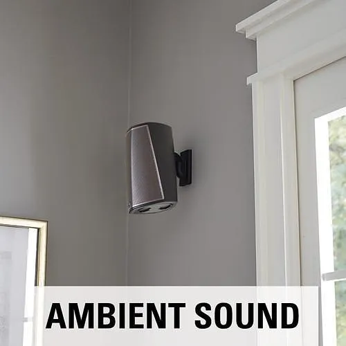 Image of NS-WSWMU2B2