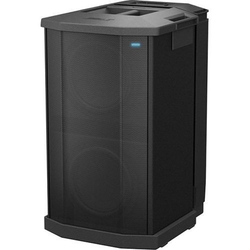 Bose Professional F1 Compact Subwoofer, 10" High-Excursion Drivers, Black