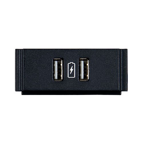 AMX FG553-13 AMX HPX-N102-USB-PC HydraPort Dual USB Power Module with Printed Charging Symbol