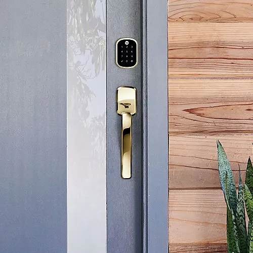 Yale YRD156-ZW2-P05 Pro Touchscreen Key-Free Deadbolt with Z-Wave Plus, Polished Brass