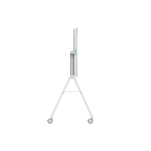 Image of 7H-952000251